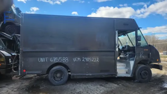 Picture of 2011-workhorse-custom-chassis-w62